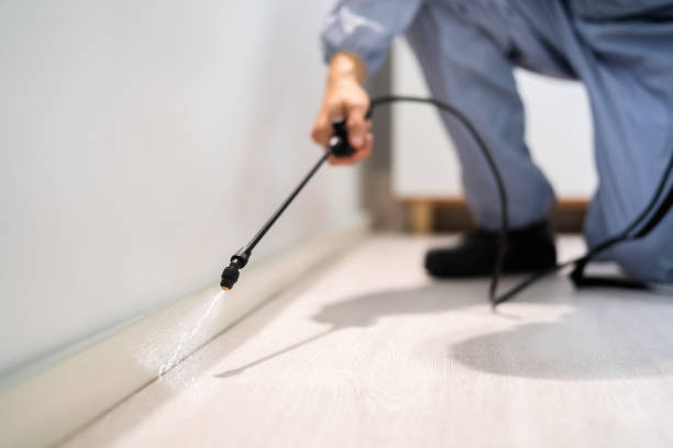 Professional exterminator conducting IPM assessment in Ford Heights